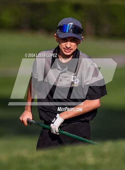 Thumbnail 2 in Charter Oak @ South Hills photogallery.