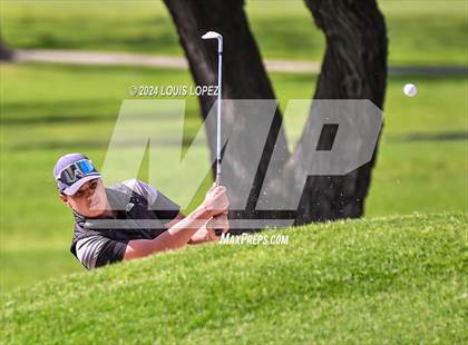 Thumbnail 3 in Charter Oak @ South Hills photogallery.