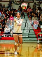 Photo from the gallery "Vela @ Pioneer"