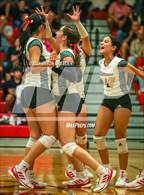 Photo from the gallery "Vela @ Pioneer"