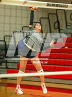 Photo from the gallery "Vela @ Pioneer"