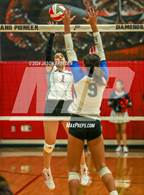 Photo from the gallery "Vela @ Pioneer"