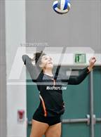 Photo from the gallery "Vacaville vs. Whitney (CIF SJS D2 Final)"