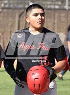 Photo from the gallery "Agua Fria @ Cactus"