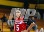 Photo from the gallery "Western Harnett @ Pine Forest"