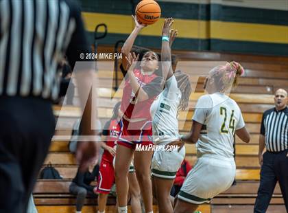 Thumbnail 1 in Western Harnett @ Pine Forest photogallery.