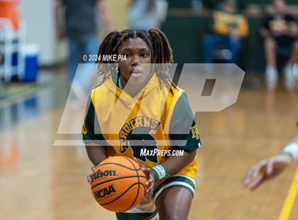 Thumbnail 3 in Western Harnett @ Pine Forest photogallery.