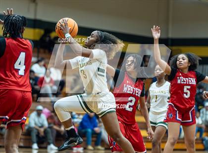 Thumbnail 1 in Western Harnett @ Pine Forest photogallery.