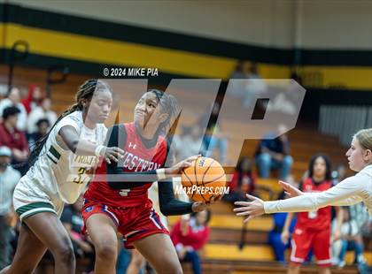 Thumbnail 3 in Western Harnett @ Pine Forest photogallery.