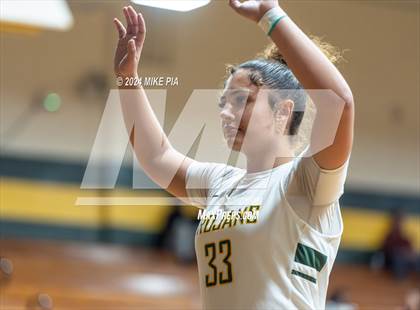 Thumbnail 3 in Western Harnett @ Pine Forest photogallery.