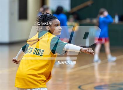 Thumbnail 1 in Western Harnett @ Pine Forest photogallery.