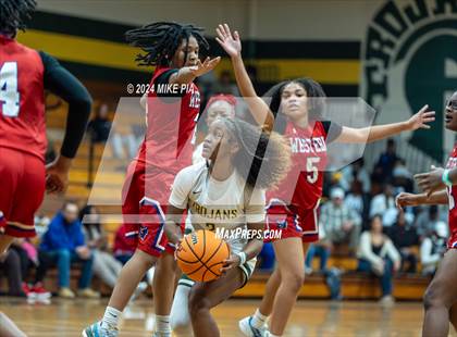 Thumbnail 3 in Western Harnett @ Pine Forest photogallery.