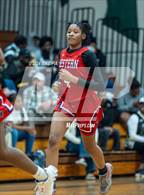 Photo from the gallery "Western Harnett @ Pine Forest"