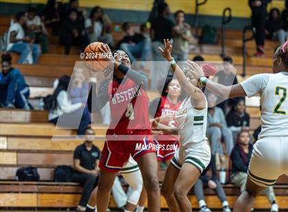 Thumbnail 2 in Western Harnett @ Pine Forest photogallery.