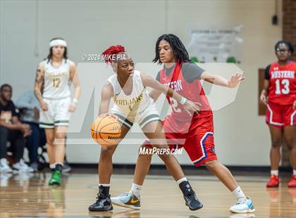 Thumbnail 3 in Western Harnett @ Pine Forest photogallery.
