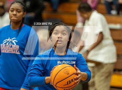 Thumbnail 3 in Western Harnett @ Pine Forest photogallery.