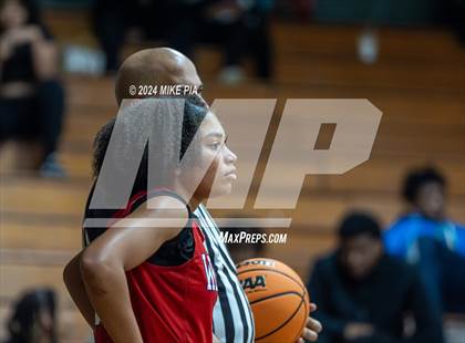 Thumbnail 2 in Western Harnett @ Pine Forest photogallery.