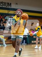 Photo from the gallery "Western Harnett @ Pine Forest"