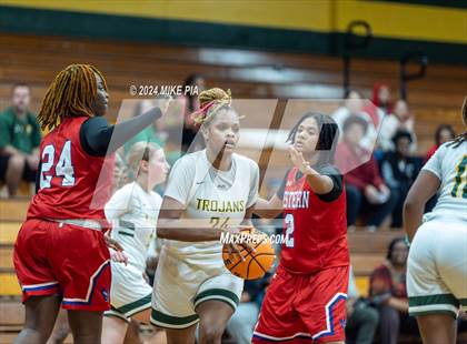 Thumbnail 3 in Western Harnett @ Pine Forest photogallery.