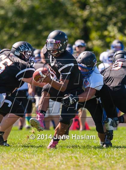 Thumbnail 2 in Millbrook @ Dover photogallery.