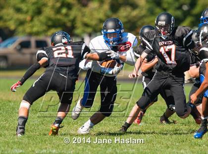 Thumbnail 1 in Millbrook @ Dover photogallery.