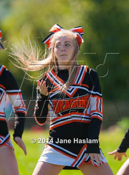 Thumbnail 3 in Millbrook @ Dover photogallery.