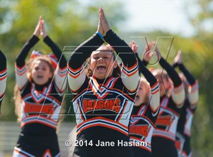 Thumbnail 2 in Millbrook @ Dover photogallery.