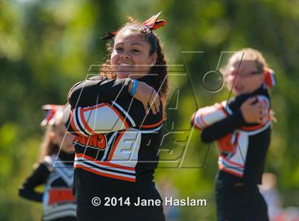 Thumbnail 3 in Millbrook @ Dover photogallery.