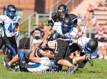 Thumbnail 3 in Millbrook @ Dover photogallery.