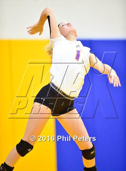 Thumbnail 1 in McDonogh vs. Stone photogallery.