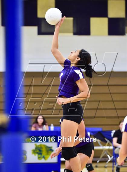 Thumbnail 1 in McDonogh vs. Stone photogallery.