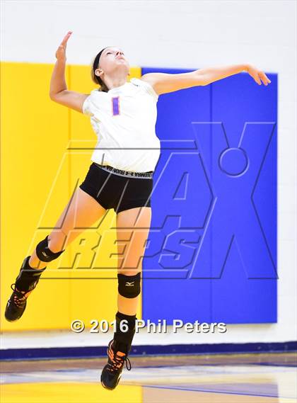 Thumbnail 3 in McDonogh vs. Stone photogallery.