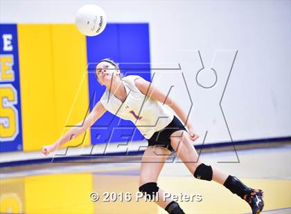 Thumbnail 1 in McDonogh vs. Stone photogallery.
