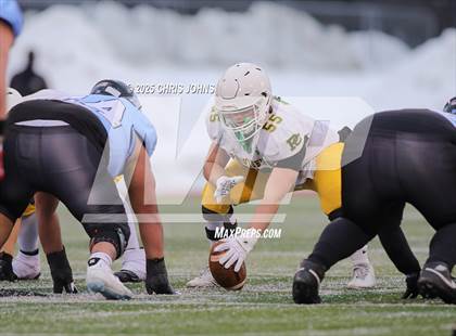 Thumbnail 2 in St. Francis vs Providence Catholic (IHSA 5A Finals) photogallery.