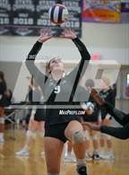 Photo from the gallery "Youngker vs. Saguaro (Spiketown Invitational)"