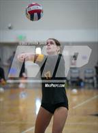 Photo from the gallery "Youngker vs. Saguaro (Spiketown Invitational)"