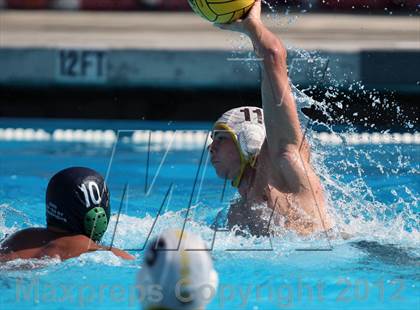 Thumbnail 1 in Nogales vs. Don Lugo photogallery.