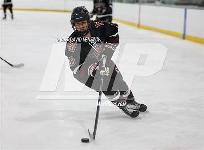 Thumbnail 3 in The Pingry School @ Morristown-Beard photogallery.
