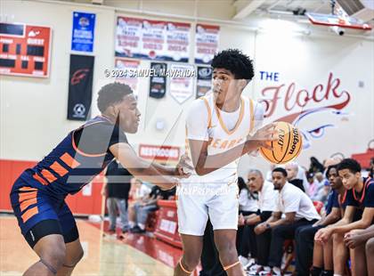 Thumbnail 3 in Roosevelt vs Poly (Take Flight Challenge) photogallery.