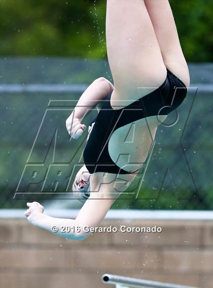 Thumbnail 1 in CIF SJS Girls Diving Finals photogallery.