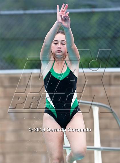 Thumbnail 1 in CIF SJS Girls Diving Finals photogallery.