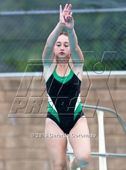 Thumbnail 1 in JV: CIF SJS Girls Diving Finals photogallery.