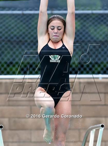 Thumbnail 3 in JV: CIF SJS Girls Diving Finals photogallery.