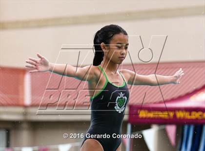 Thumbnail 1 in JV: CIF SJS Girls Diving Finals photogallery.