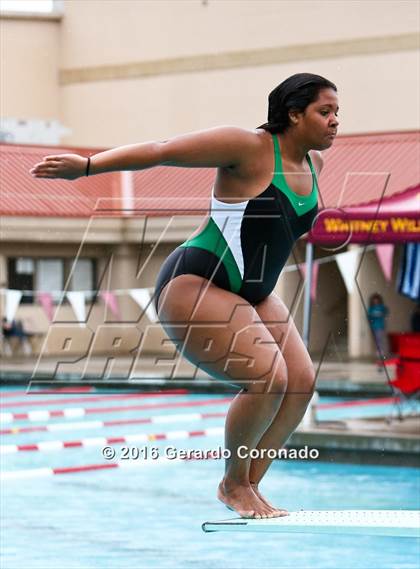 Thumbnail 2 in JV: CIF SJS Girls Diving Finals photogallery.