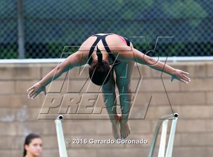 Thumbnail 2 in CIF SJS Girls Diving Finals photogallery.