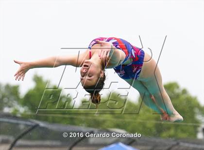 Thumbnail 1 in CIF SJS Girls Diving Finals photogallery.