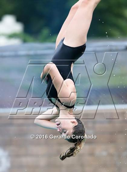 Thumbnail 2 in CIF SJS Girls Diving Finals photogallery.