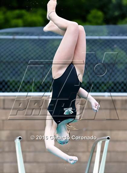 Thumbnail 3 in CIF SJS Girls Diving Finals photogallery.