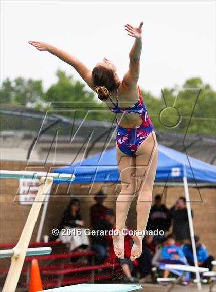 Thumbnail 2 in JV: CIF SJS Girls Diving Finals photogallery.